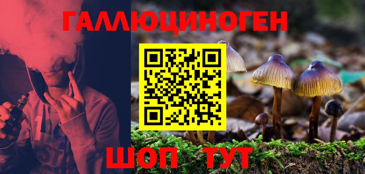 Набережные Челны  Галлюциногенные грибы Psilocybine cubensis  Вход с VPN 
